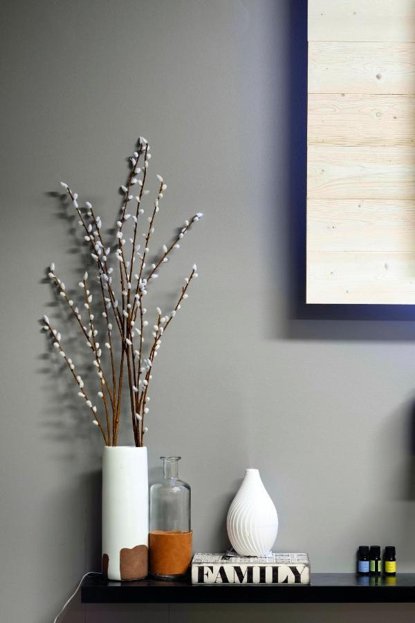 Modern 2 Bedroom Private Suite Near Pisgah & Dupont Forests Horse Shoe Esterno foto