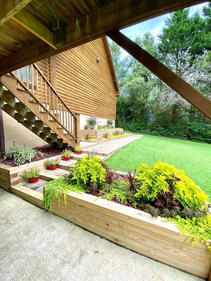 Modern 2 Bedroom Private Suite Near Pisgah & Dupont Forests Horse Shoe Esterno foto